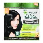 GARNIER HAIR COLOUR 1 DARK BLACK