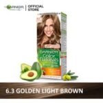 GARNIER HAIR COLOUR NUMBER 6.3 GOLDEN LIGHT BRWON