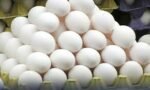 FRESH EGG 1TRAY PACK