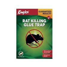 KINGTOX RAT KILLING GLUE TRAP