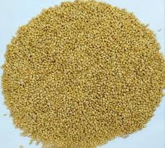KANGNI SEED FIED 500GRAM