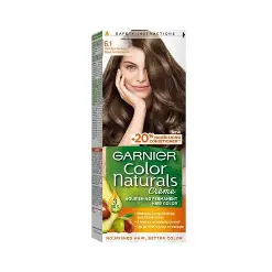 GARNIER 6.1 NUMBER DARK ASHY BROWN COLOUR