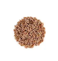 ISPAGHOL SABUT 250GRAM
