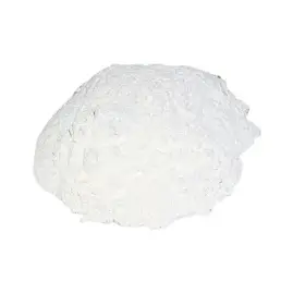 SUHAGA POWDER 50GRAM